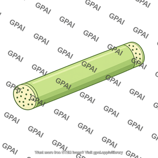 Sieve tube element