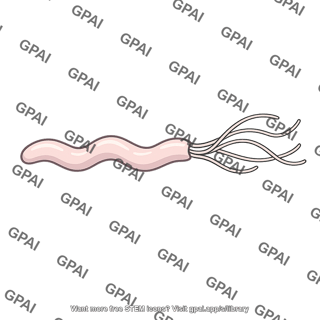 Helicobacter pylori