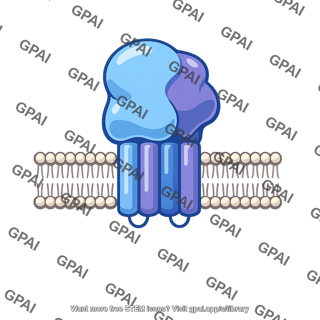 Membrane embedded enzyme