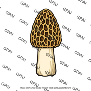 Morel