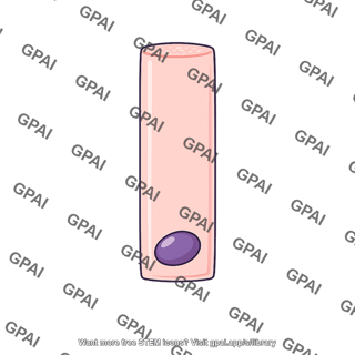 Columnar epithelial cell basal nucleus