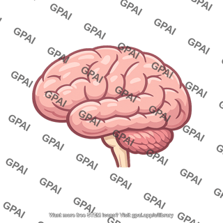 Human brain