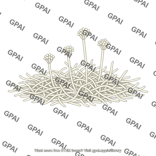 Filamentous fungus