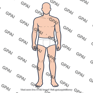 Male body