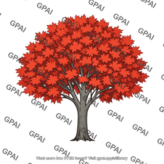 Red maple tree
