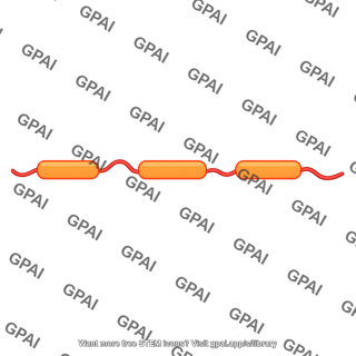 Primary rrna transcript