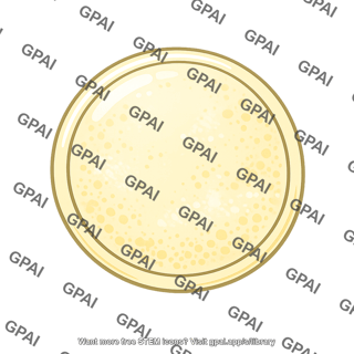 Animal egg cell without prominent nucleus