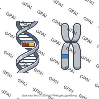 Allele
