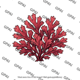Red alga sample