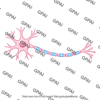 Neuron signaling