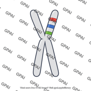 Chromosome with gene markers