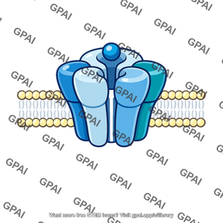 Ionotropic receptor