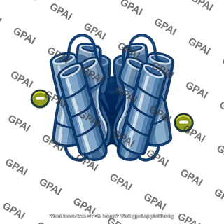 Chloride transport channel