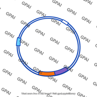 Plasmid vector