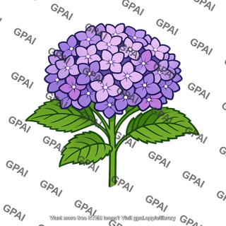 Hydrangea