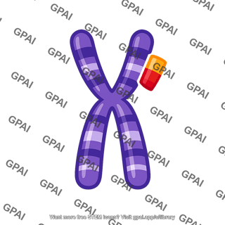 Chromosome translocated