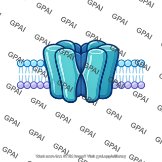 Sodium channel closed