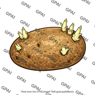Sprouting potato