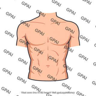 Human trunk