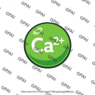 Ca2 ion