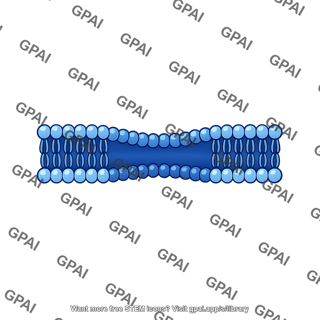 Membrane undershoot