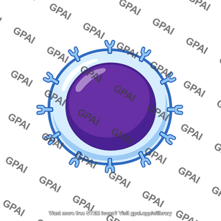 T cell