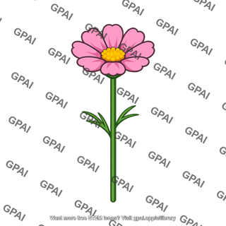 Cosmos flower green stem short petals
