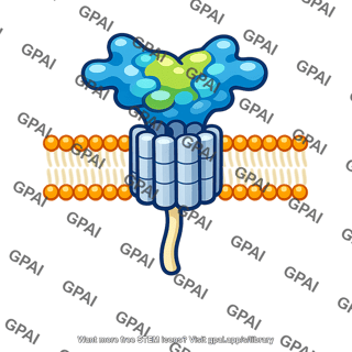 Membrane protein extracellular domain variant