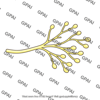 Axon terminal branched