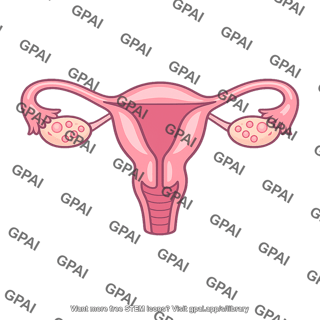 Female reproductive structure
