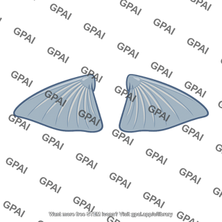 Paired fin