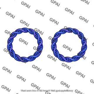 Bacterial chromosome replicated