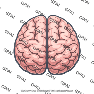 Human brain