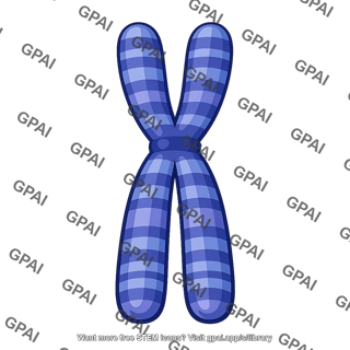 Chromosome 1