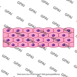 Tissue healthy