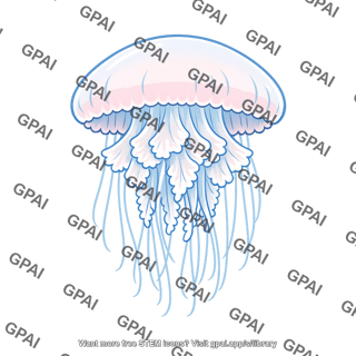 Scyphozoan