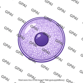 Donor nucleus