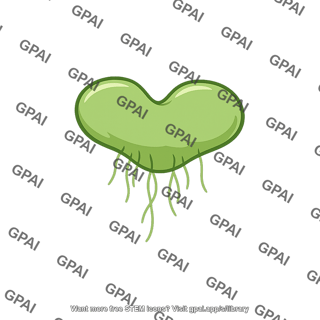 Fern gametophyte young