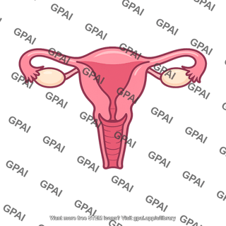 Human female reproductive organ