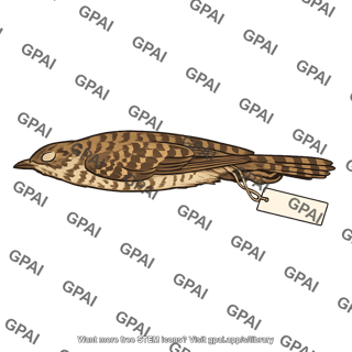 Museum specimen bird study skin