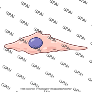 Cell migrating