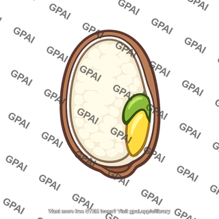 Endosperm diploid