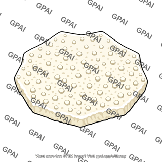 Calcareous plate