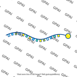 Nucleic acid probe
