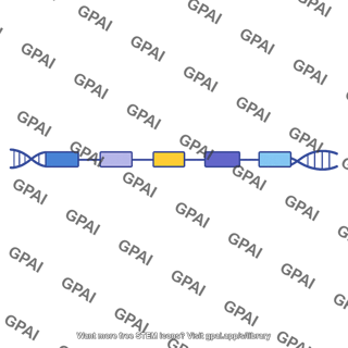 Gene map stylized