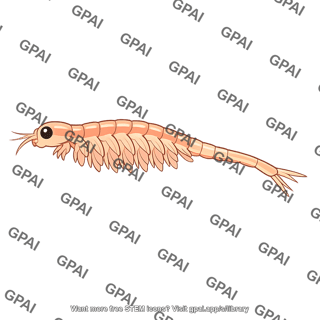 Brine shrimp artemia
