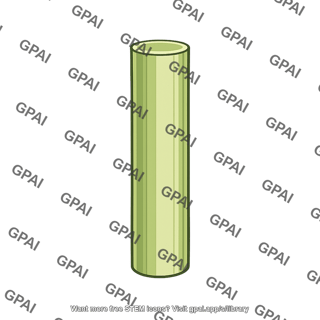 Grass coleoptile decapitated