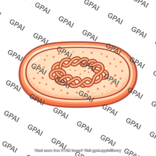 Archaeal cell