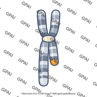 Chromosome 14 21 fused