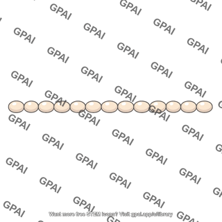Conidium chain